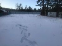 Лот: 15100535. Фото: 3. Дача-участок 10соток. Недвижимость