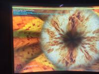 Лот: 17761736. Фото: 7. Видеокарта Zotac GTX 1060 6 Gb