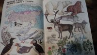 Лот: 4751507. Фото: 2. Атлас природоведение 3-5 класс... Учебники и методическая литература