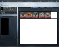 Лот: 5523898. Фото: 4. Игровой аккаунт Steam. Красноярск