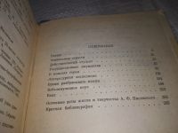 Лот: 19387764. Фото: 11. Плеханов С. Писемский. Серия...