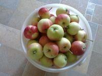 Лот: 12088635. Фото: 2. Ранетка "Заветная" 5л. Продукты