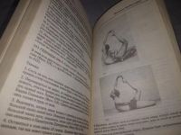 Лот: 19872691. Фото: 11. (05..019) Прояснение йоги Йога...