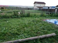 Лот: 15146550. Фото: 7. Продам 1-этажн. дачу 48 кв.м...