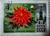 Лот: 12956939. Фото: 2. Марки Флора. СССР. Цветы Москвы... Коллекционирование, моделизм