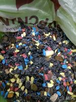 Лот: 10601121. Фото: 3. Аквариумный грунт. Растения и животные