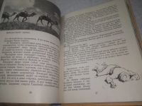 Лот: 25327999. Фото: 7. вбЮ/oz(4092339)Волк И. Вода Алагеза...