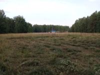 Лот: 9966205. Фото: 5. Участок. Элита. СНТ "Горки Элитовские...