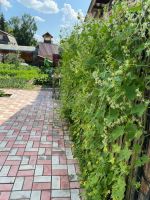 Лот: 25600819. Фото: 12. 2-комн. дача , садоводческое некоммерческое...