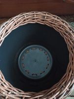 Лот: 18862647. Фото: 2. Кашпо 12л. Комнатные растения и уход