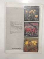 Лот: 19468081. Фото: 7. книга альбом нарциссы тюльпаны...