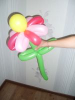 Лот: 3428033. Фото: 3. цветок ромашка (фиолето-розовая... Красноярск