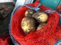 Лот: 14621950. Фото: 2. Картошка картофель Гала (Улучшенная... Продукты