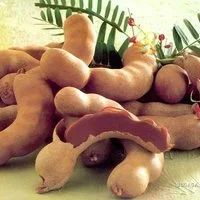 Лот: 9463447. Фото: 2. Тамаринд Сладкий ЗКС в Зимний... Комнатные растения и уход