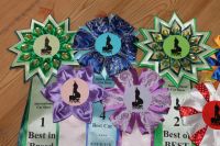 Лот: 3222034. Фото: 3. Розетки с выставок. Сувениры, подарки