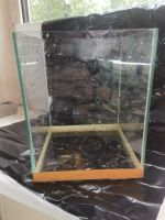 Лот: 25632800. Фото: 2. Аквариум. Аквариумистика