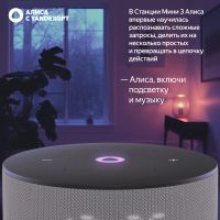 Лот: 25013877. Фото: 4. Умная колонка Яндекс Станция Мини... Красноярск