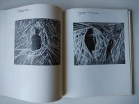 Лот: 12241631. Фото: 3. Стасис Красаускас. Литература, книги