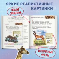 Лот: 22885002. Фото: 2. "Все животные с крупными буквами... Детям и родителям