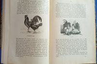 Лот: 25805131. Фото: 17. М.Н. Богданов. Из жизни русской...