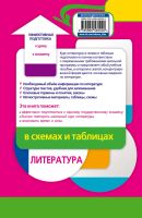 Лот: 22993452. Фото: 2. "Литература в схемах и таблицах... Учебники и методическая литература