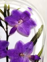 Лот: 24662383. Фото: 6. Органайзер для украшений / сухоцветы...
