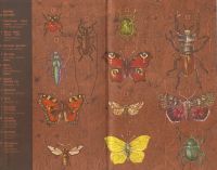 Лот: 11487721. Фото: 3. Козлов Михаил, Нинбург Евгений... Литература, книги