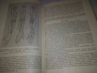 Лот: 24581166. Фото: 13. oz(3092315)Рабинович М. Ц. Пластическая...