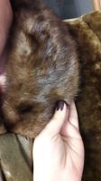 Лот: 15200008. Фото: 2. Шуба мутоновая с норковым воротником. Женская одежда