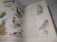 Лот: 25526846. Фото: 6. ВбР/оз(4092365)Молис С. Хрестоматия...