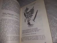 Лот: 19018380. Фото: 6. Пищевые растения Сибири. Серия...