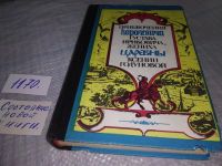 Лот: 6572075. Фото: 11. Приключения королевича Густава...