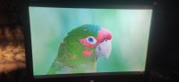 Лот: 24675198. Фото: 2. Монитор LCD 22". Мониторы, проекторы