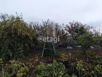 Лот: 25295867. Фото: 13. 2-комн. дача , СНТ Шафран СНТ...