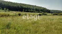 Лот: 25288946. Фото: 12. участок , Красноярск Красноярск...