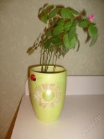 Лот: 48450. Фото: 2. Горшки керамические.