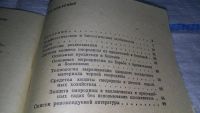 Лот: 11273140. Фото: 3. Смородиновый сад, З.Зотова, В... Литература, книги