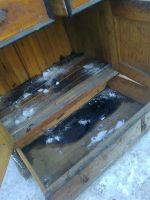 Лот: 3787203. Фото: 6. буфет крестьянский довоенный