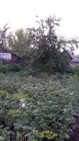 Лот: 11863163. Фото: 5. дача