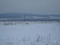 Лот: 3696790. Фото: 2. Продам дом партизанский район... Продажа