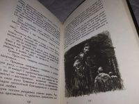 Лот: 10257074. Фото: 16. Звезда. Весна на Одере, Эммануил...