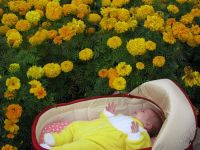 Лот: 1764346. Фото: 2. Комбинезон для Вашего солнышка. Одежда и аксессуары