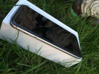 Лот: 7625899. Фото: 6. Apple iPhone 6 16Gb рст space...