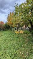 Лот: 25287044. Фото: 7. 4-комн. дача , садоводческое некоммерческое...