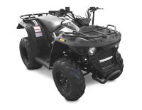Лот: 25774839. Фото: 4. Квадроцикл LINHAI-YAMAHA M150. Красноярск