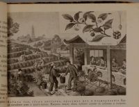 Лот: 15403053. Фото: 4. Начальный курс географии. * 1914... Красноярск