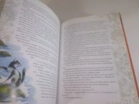 Лот: 25898896. Фото: 7. OzЮ/ВбР(5092324а)Коты-воители...