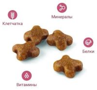 Лот: 10857549. Фото: 2. Корм Royal Canin для котят от... Животные и уход