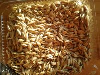 Лот: 5008986. Фото: 2. Полба цельнозерновая, для добавок... Продукты