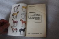 Лот: 19344301. Фото: 3. Гуревич, Рогалёв. Словарь-справочник... Литература, книги